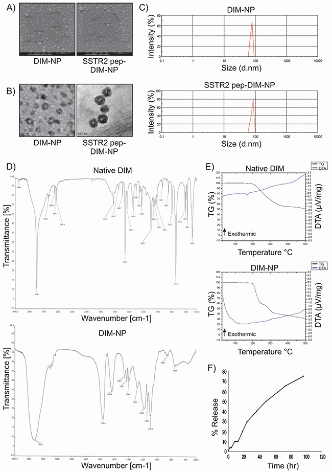 Characterization of DIM-NPs and SSTR2 pep-DIM-NPs.