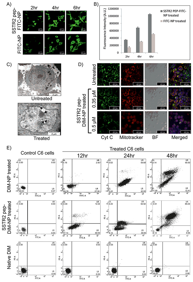 Celluler internalization and in vitro apoptotic effects of SSTR2 peptide-tagged nanoformulations.