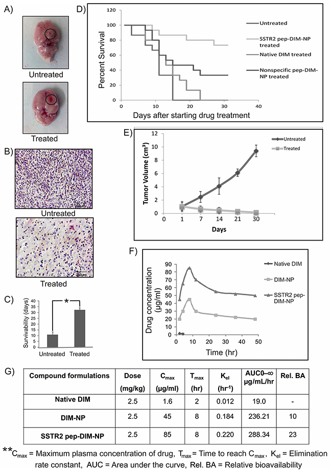 In vivo efficacy and bioavailability of SSTR2pep-DIM-NPs.