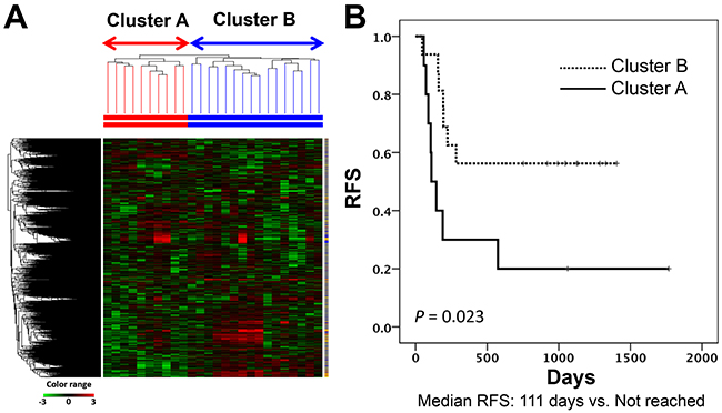 Subgrouping through unsupervised hierarchical clustering in the discovery study.