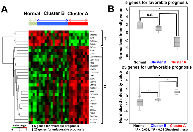 Relationship of the expression of 30 genes between cluster A, cluster B and normal tissues.