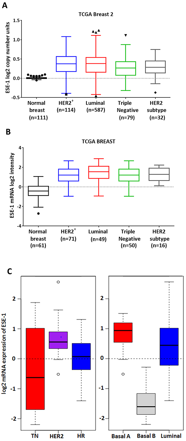 ESE-1 mRNA expression in breast cancer tissues and cell lines.