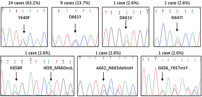 Representative Sanger sequences for each STAT3 mutation found.