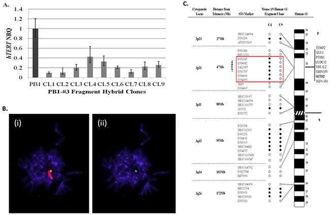 Localisation of a 490kb region on human chromosome 3p that represses hTERT transcription within 21NT-hTERT (PB1) breast cancer cells.