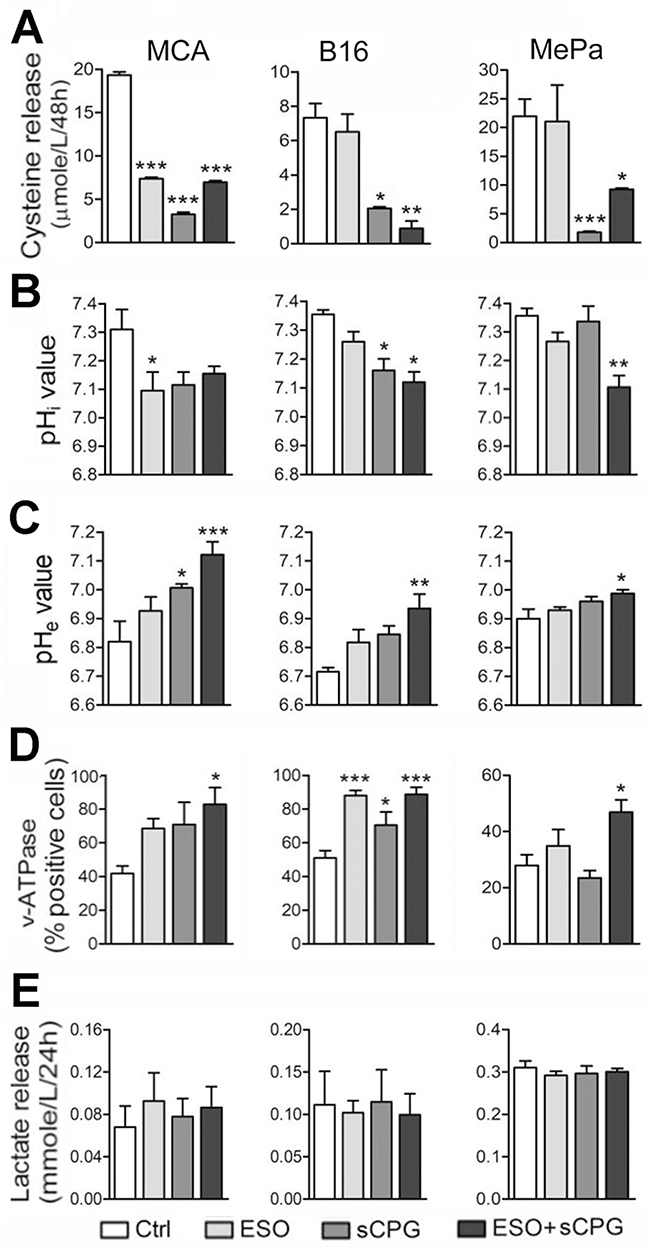 sCPG inhibits cysteine release by tumor cells and esomeprazole modulates pHi and pHe.