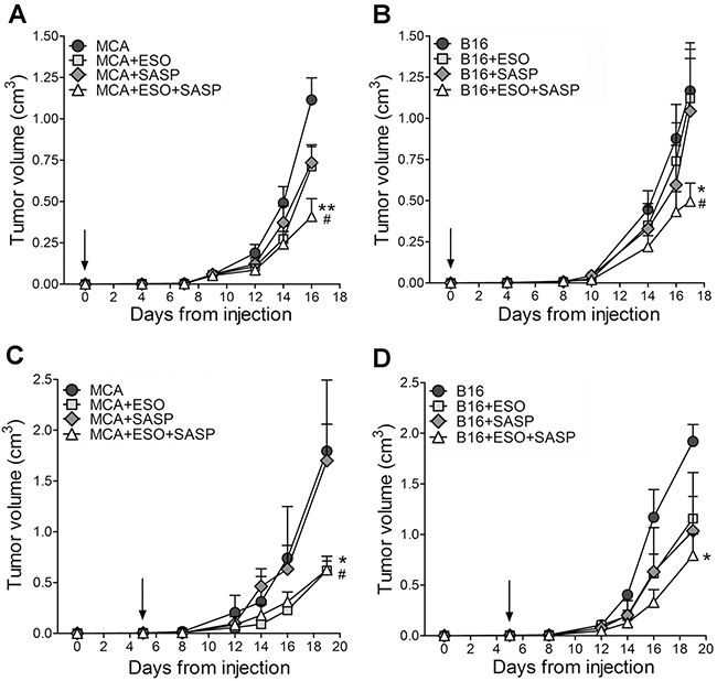Esomeprazole plus sulfasalazine treatment reduces tumor growth in vivo.