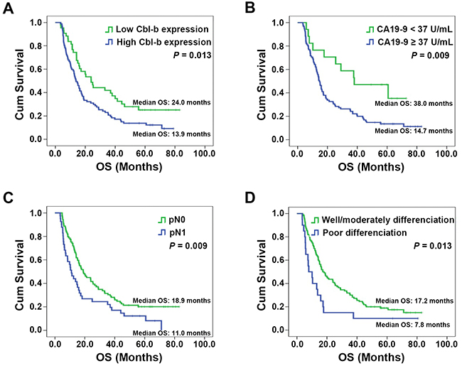 Overall survival (OS) in patients stratified by prognostic factors found to be independently associated with OS.