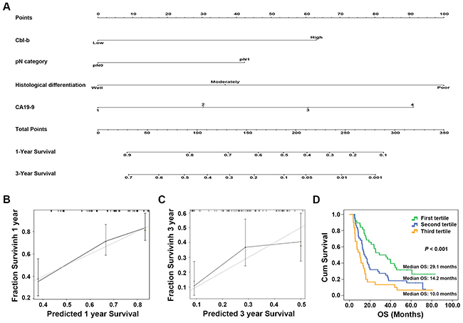 Prognostic nomogram for predicting overall survival (OS) in patients with pancreatic ductal adenocarcinoma (PDAC) treated by surgical resection.