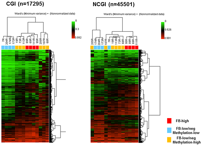 Figure 4:Unsupervised hierarchical clustering analysis of CpG islands (CGI, left) and non-CpG islands (NCGI, right) using 10% most variant probes among fourteen UC patients.