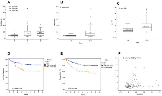 Correlation between Gal-3 and CEA levels with N stage and survival.