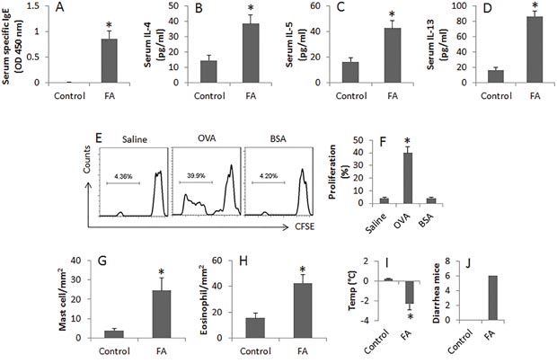 Assessment of allergen-related inflammation in the intestine.