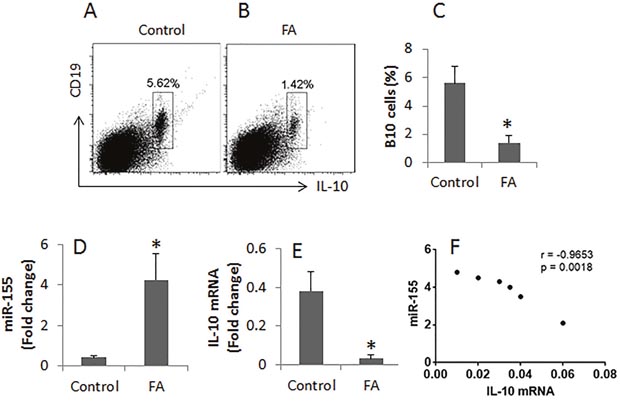 Assessment of IL-10+ B cells in the intestine.