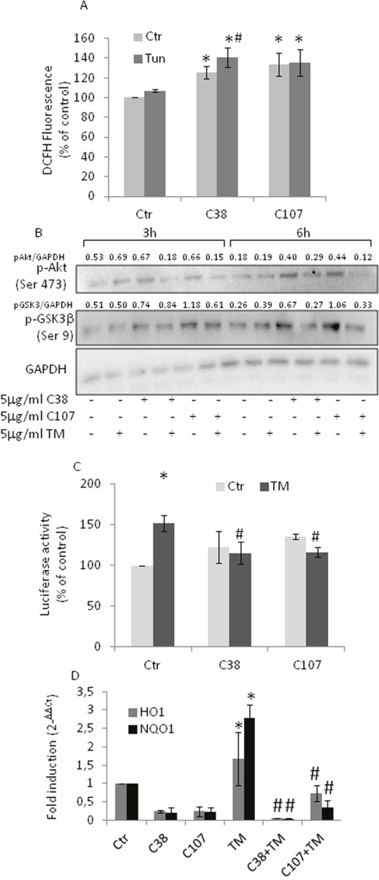 Anti- GRP78/BiP C-terminal domain antibody treatment blunts Nrf2 activation.
