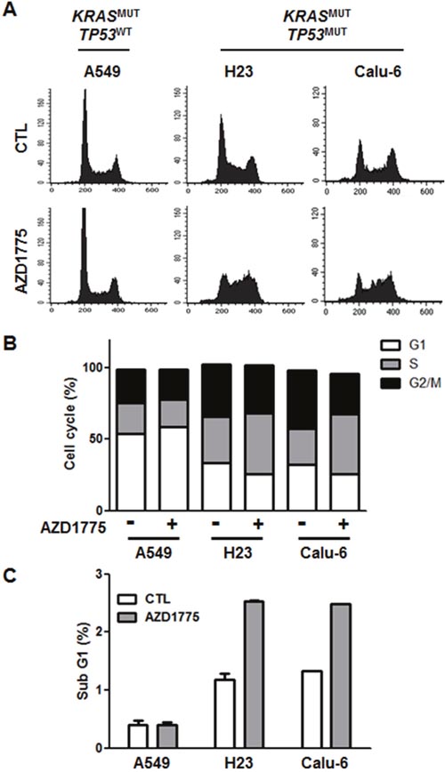 AZD1775 has no effect on cell cycle.