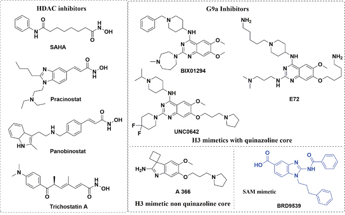 Examples for known HDAC inhibitors and G9a Inhibitors.