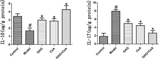 GAG up-regulates the level of IL-10 but down-regulates the level of IL-17.