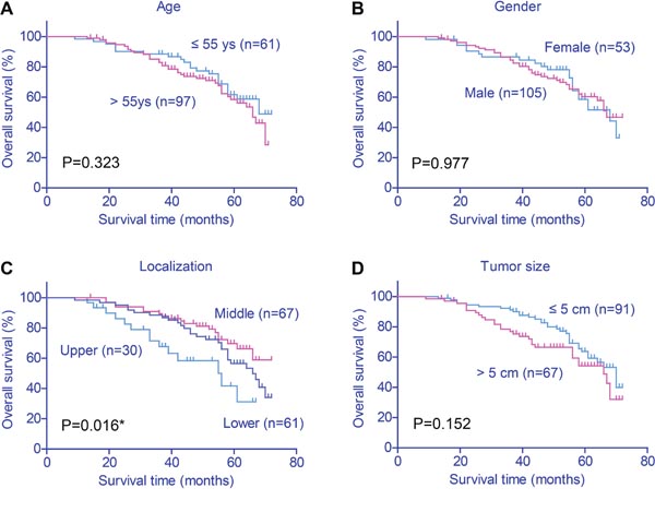 Kaplan&#x2013;Meier survival plots of gastric cancer patients.