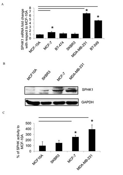 SPHK1 expression in breast cancer cells.