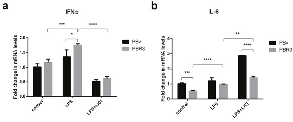 Effect of swine IRF3 on the expression of IFN&#x03B1; and IL-6.