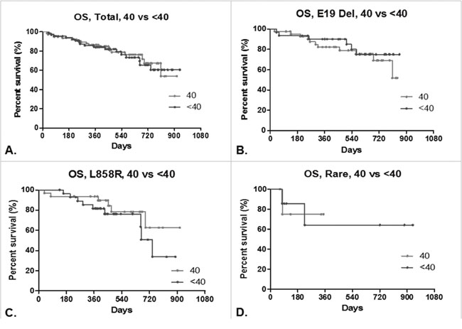 Overall survival (OS) of lung adenocarcinoma patients.