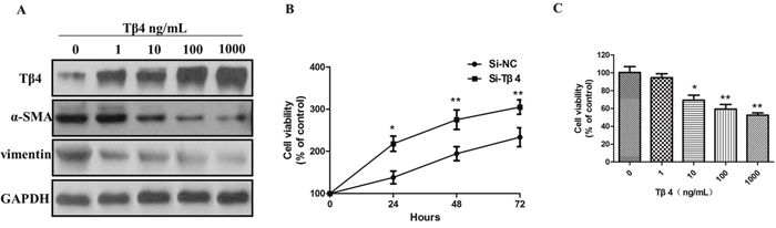 Figure 4: