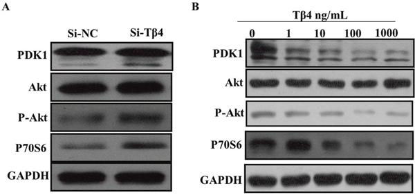 Figure 6: