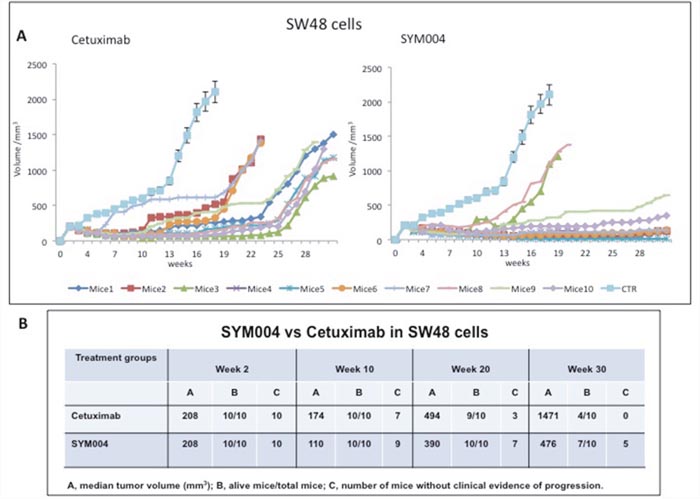 Effects of cetuximab or SYM004 on SW48 tumor xenografts.