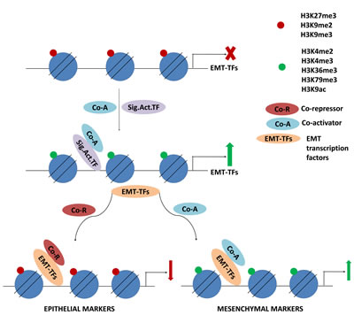 Figure 4: