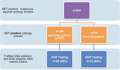 Flow chart to highlight pancreas and liver cytology smear acquisition to completion of targeted NGS.