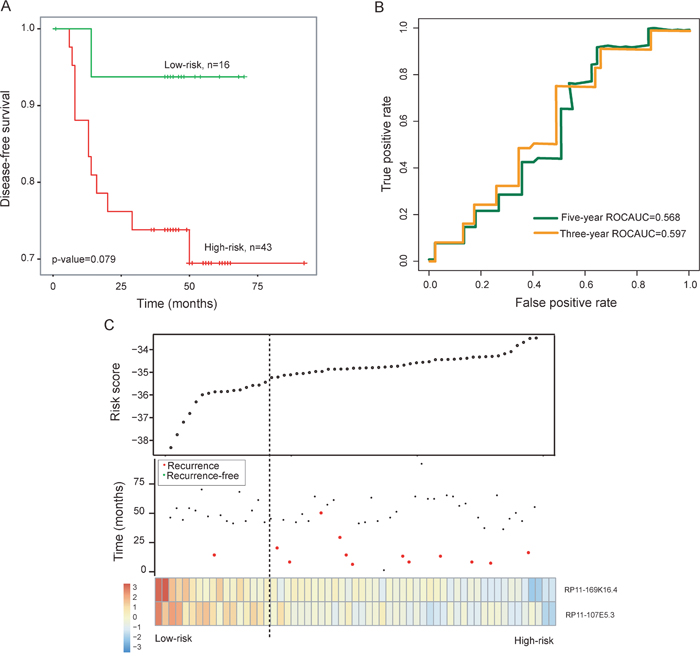 Prognostic assessment of the two-lncRNA signature in the testing dataset.