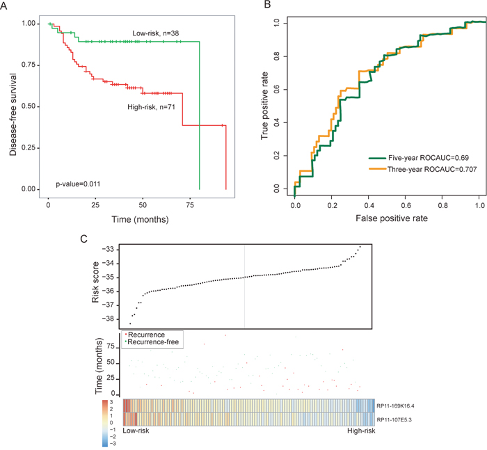 Prognostic assessment of the two-lncRNA signature in the entire GSE27020 dataset.