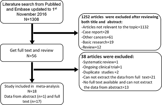 Literature search strategy and study selection for the meta-analysis.