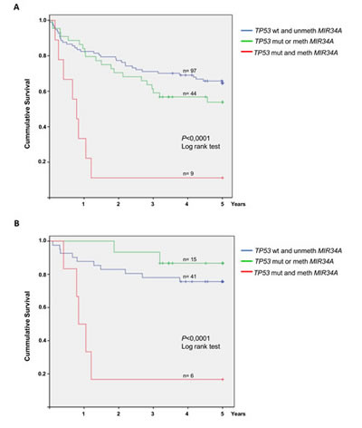 Overall survival of DLBCL patients with and without MIR34A methylation and TP53 mutation.