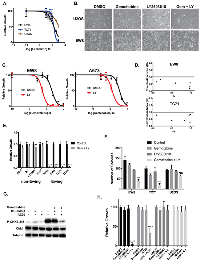 Ewing sarcoma cells are sensitive to inhibition of CHK1.