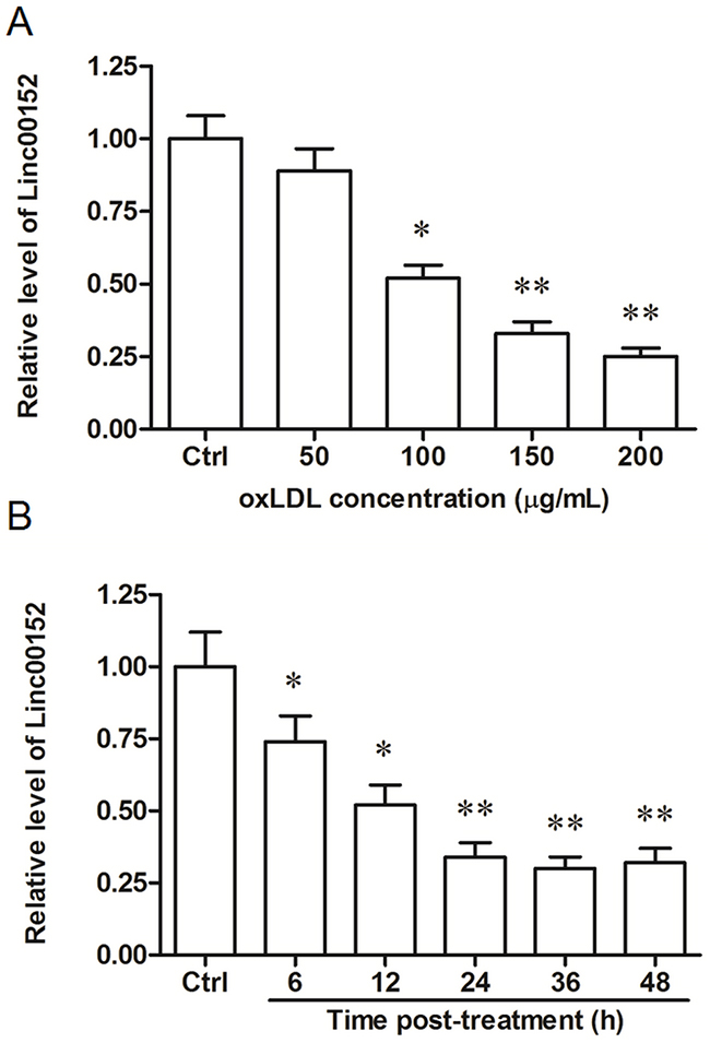 Linc00152 was downregulated by oxLDL treatment in HUVECs in a dose- and time-dependent manner.