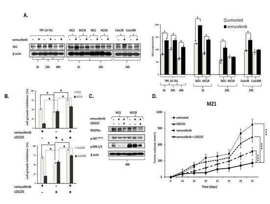 Association of Gli1 activation with PDGFR&#x3b1; up-regulation mediating BRAF-I resistance in melanoma cell lines harboring BRAF(V600E).
