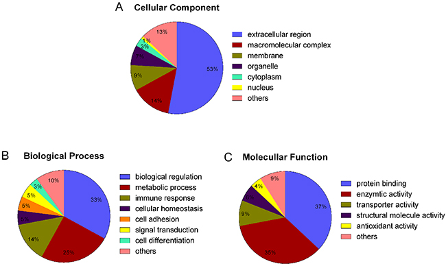 Gene ontology classification of differentially expressed proteins based on their cellular localization, biological process and molecular function.