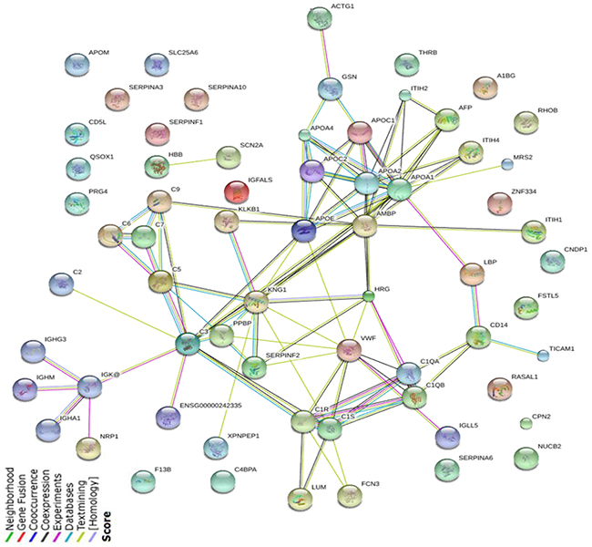 String network analysis of differentially expressed proteins identified by iTRAQ-LC-MS/MS.