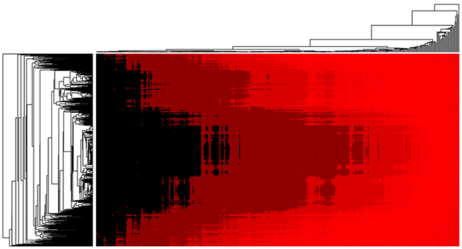 Heat map of microRNA-disease association possibility predicted by EPMDA in which rows and column denote microRNAs and diseases.