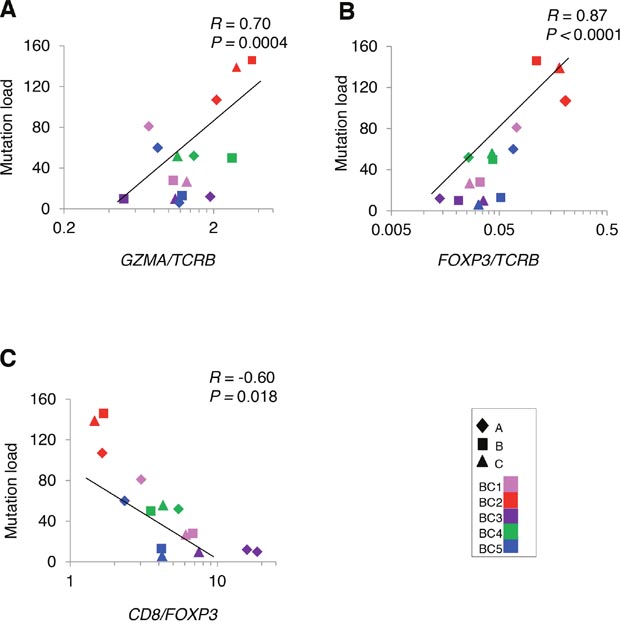Correlation analysis between non-synonymous mutations and the mRNA expression level of immune-related genes in tumors.