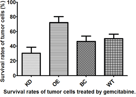 Survival rates of T24 bladder cancer cells from four different subgroups treated with gemcitabine.