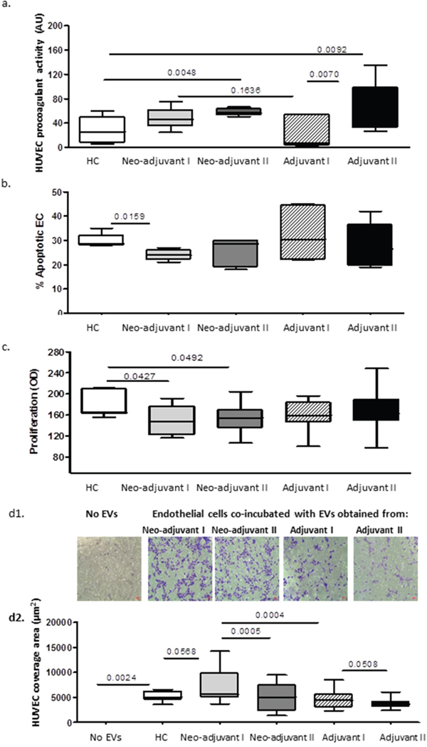 EVs effects on endothelial cells (EC).