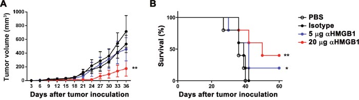 Dose-dependent effect of &#x03B1;HMGB1 on tumor remission and host survival.