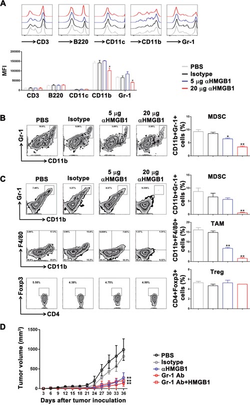 Downregulation of HMGB1 inhibited MDSCs proliferation in the Renca tumor-bearing mice.