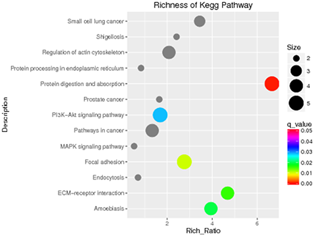 KEGG pathway analysis identified five signaling pathways that are significant in microtia (P &#x003C; 0.05).