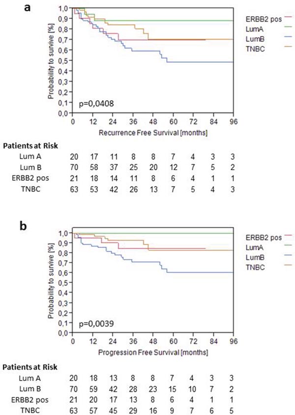 Kaplan-Meier analysis of RFS (a) and PFS (b) based on predefined molecular subtypes in the validation cohort.