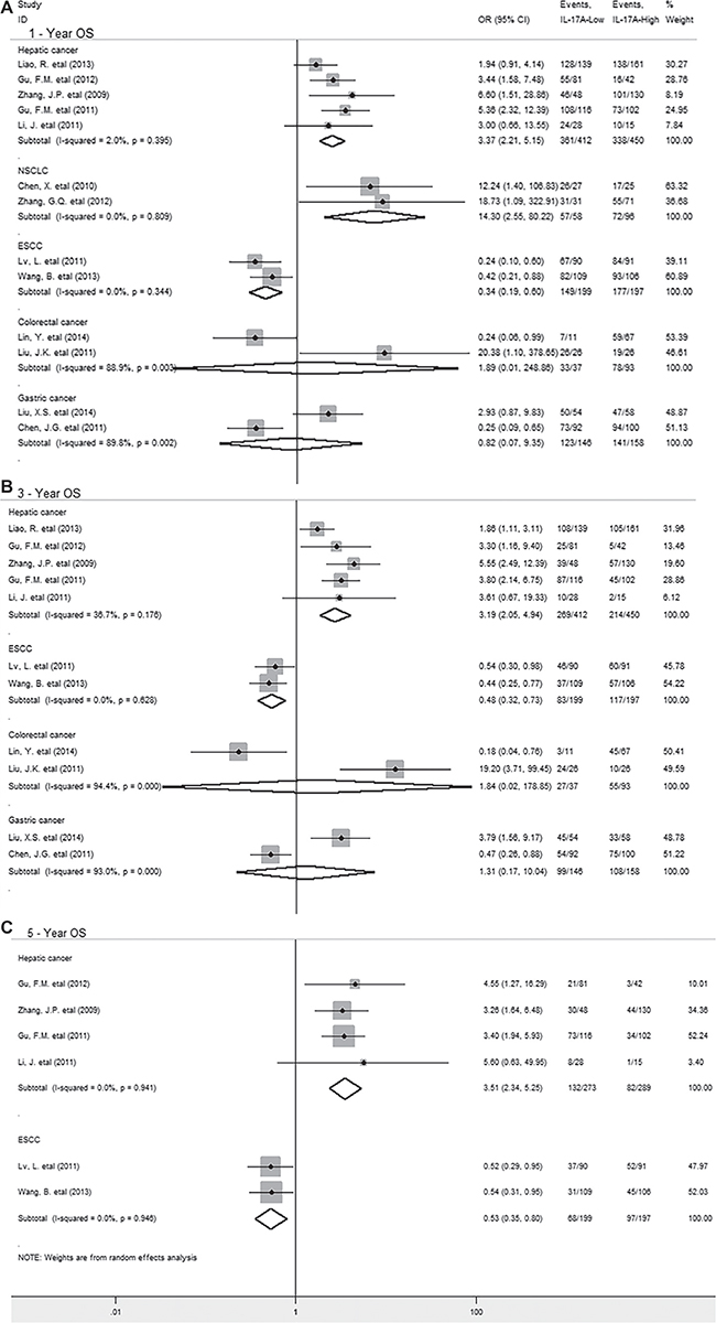 Stratified analyses describing ORs of the association between intratumoral IL-17A expression and OS at 1-year, 3-year, 5-year.