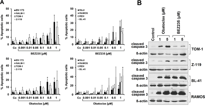 Drug effects on apoptosis in ALL cells.