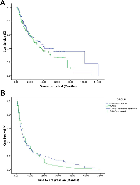 OS and TTP curves of TACE and TACE + sorafenib group.