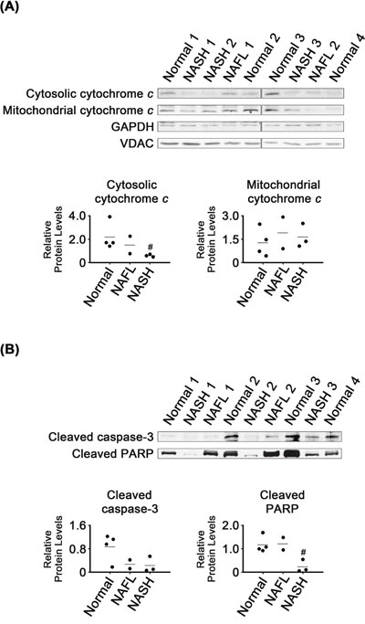 Figure 4: